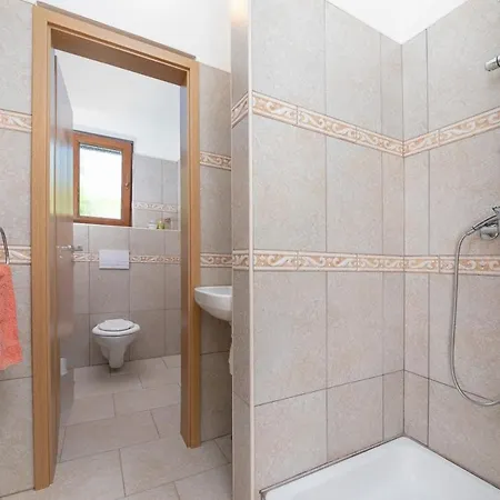 Vanessa Holiday home Visnjan